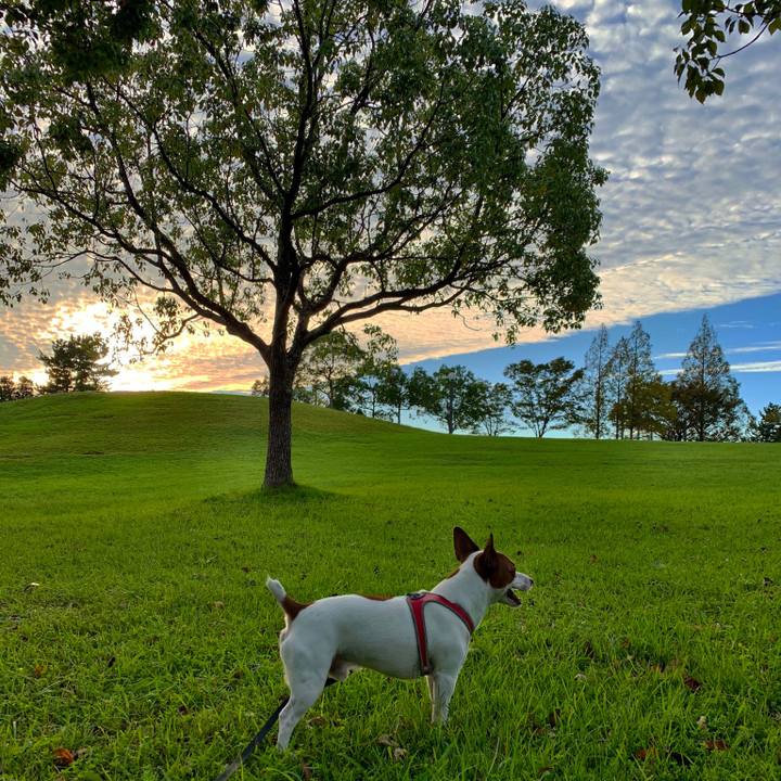 980fa273 1621 4e4c b26b 0cb4decc8580 1538475288744