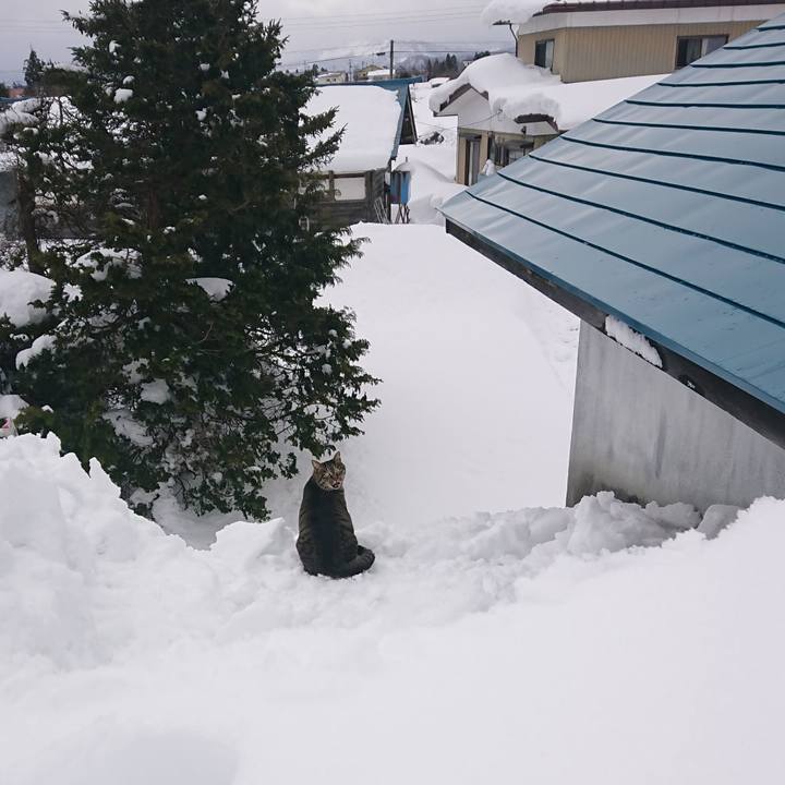 980fde34 9b4c 4b8b aeb0 26357d6b2042 1642995762733