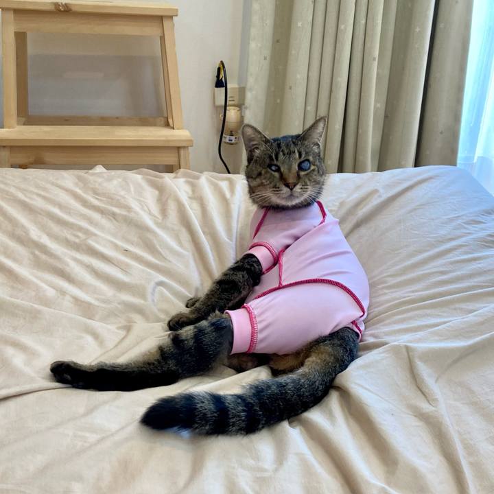 98101cae 6d1e 4168 8b68 3a60f78868dd 1683616866532