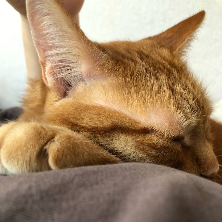 981029d7 ea1a 4372 bd38 e9e2c57d8cf8 1653084555502