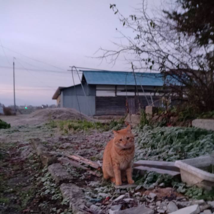 9810954e 0ab7 4572 9942 8e896c6b26bb 1668894339952