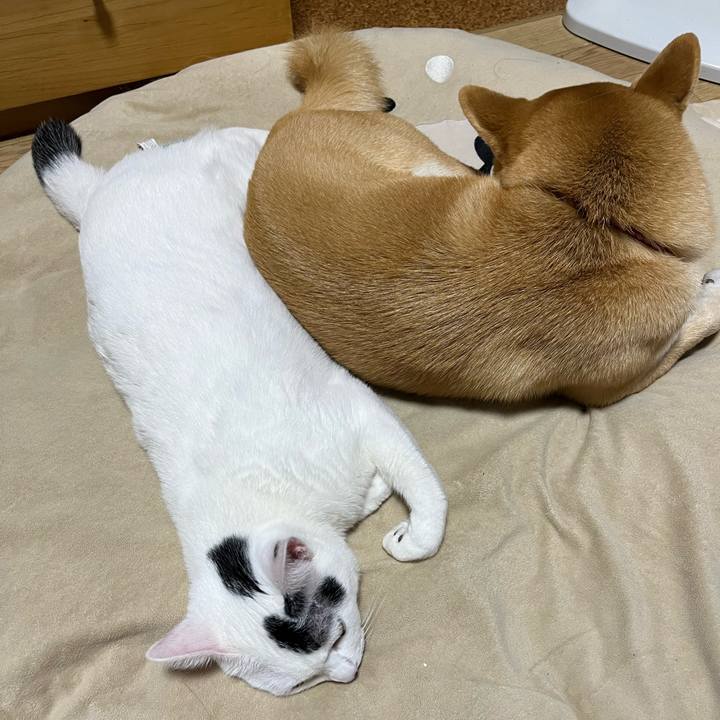 9810e235 f6d4 413c 807b cb3f55f158bf 1705365561554