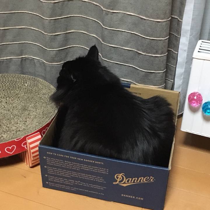 98113d05 dfcd 445e b54e 74e3b75bf525 1551873891196