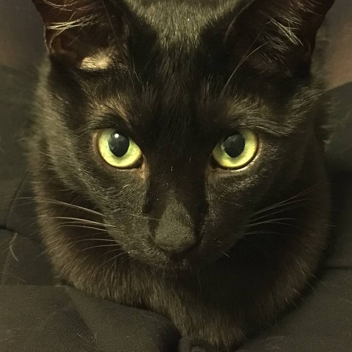 9811463a b664 4d6d ab43 fb7c7201f1aa 1526053234031