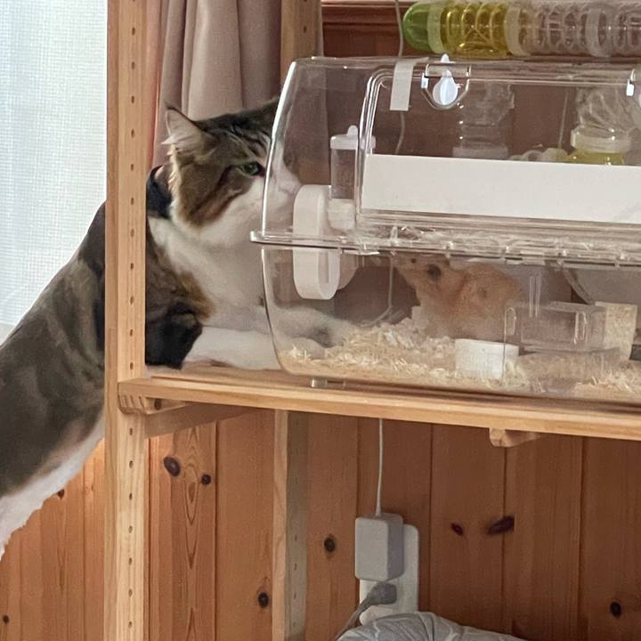 98116cb8 b335 46ba a1cb 83d9a5bda598 1658952629069