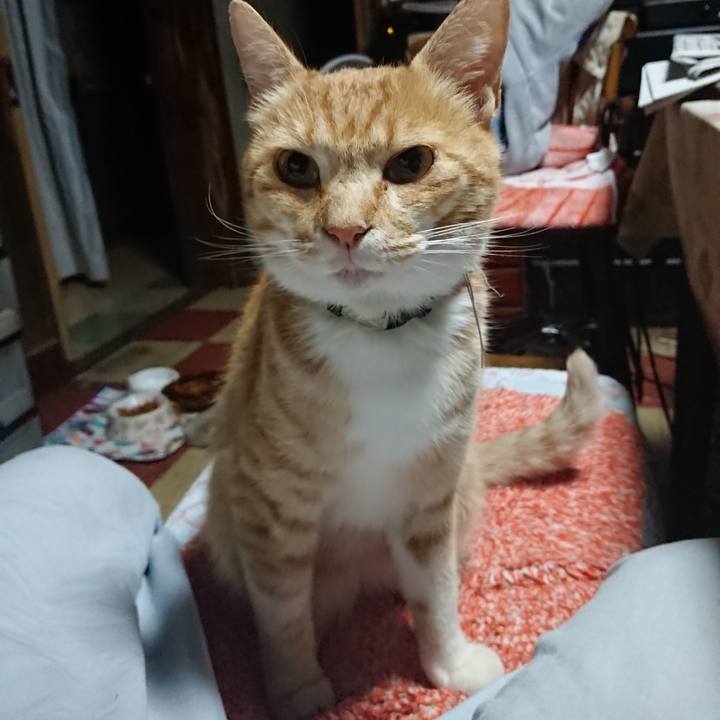 98117c1c 8eee 400d a69d b305e6b641f6 1593113189099