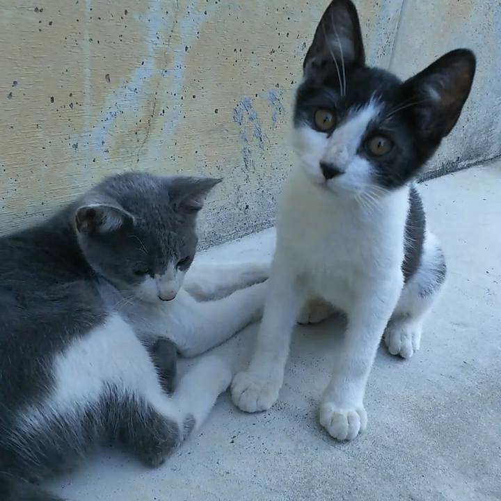 981185e6 da10 4ad0 b657 be4803defc5b 1556058269166