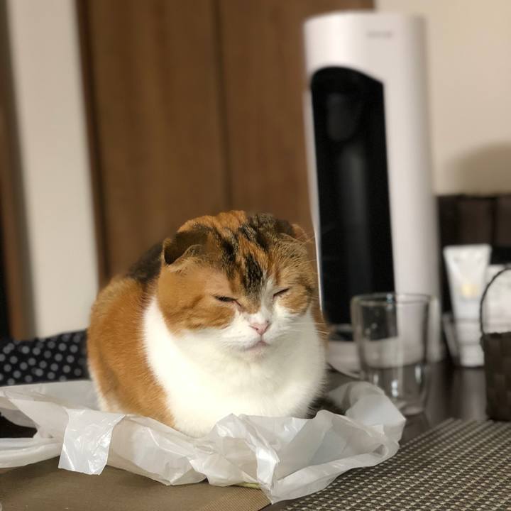 9811a91f d86b 414f ae87 7b0ba6eca4ab 1637071594316