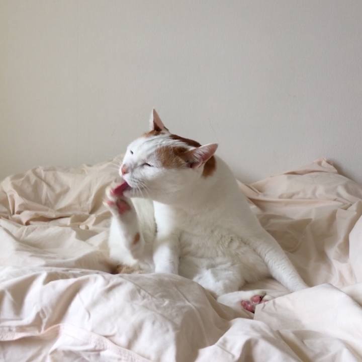 9811d277 6f18 4bfc b3ee 61e4f93bdee0 1537659613494