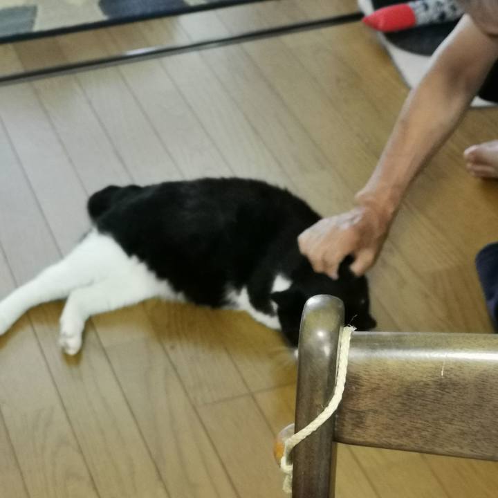 9811d99c cc4b 4d37 bf54 013e23f61f57 1627270001736