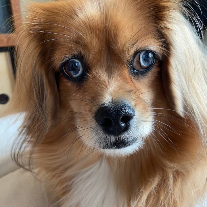 9811e185 07b6 49c4 ae7c 82b627c76f0f 1666487668832