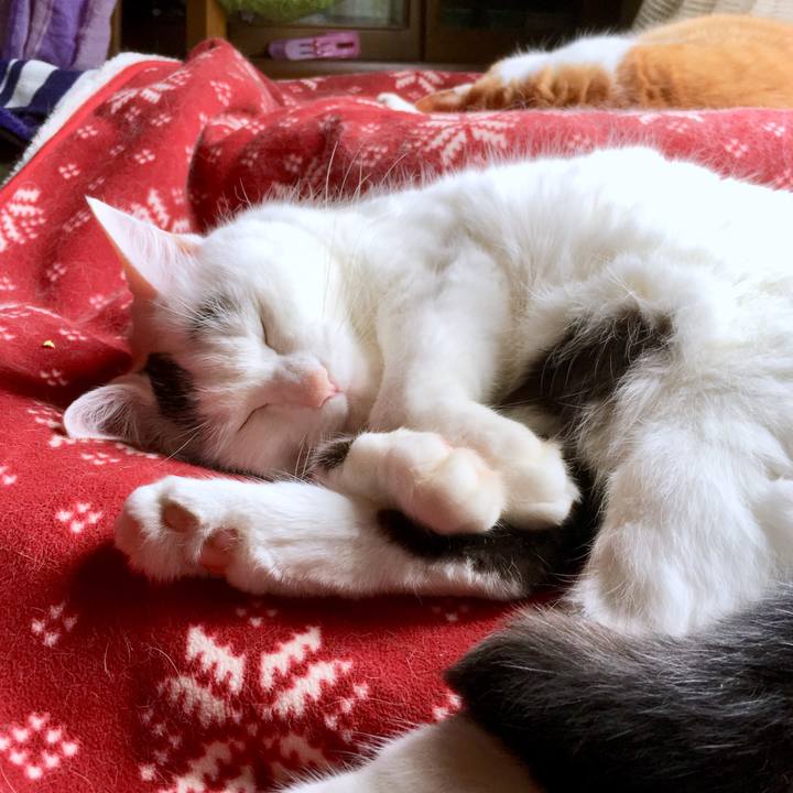 981204f5 c8cb 41f5 a1d4 4e4b56d3ef7e 1569379940393