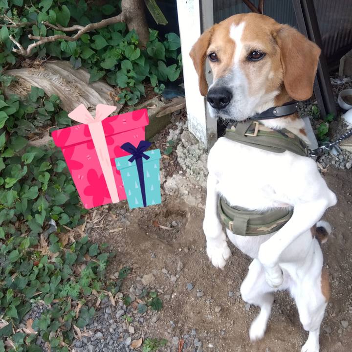 981215e2 9ccc 46a3 bf09 544d9dca31d2 1683281667974