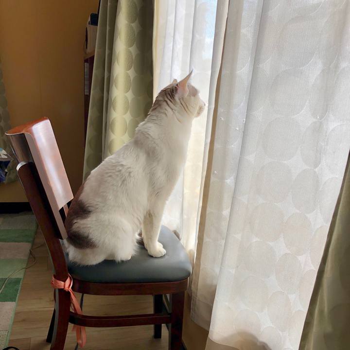 98121ce8 7e89 4d70 9a04 f1c227087e08 1580261185825