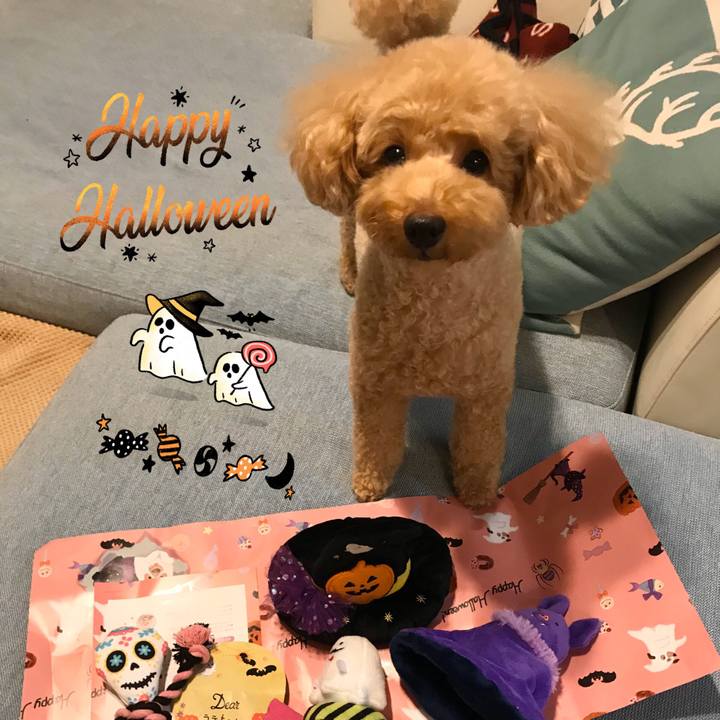 98122736 92b8 4a53 be51 5d44b3189c21 1572516831273