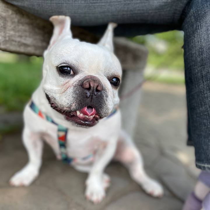 98122933 fc80 492f 9566 8bec4275ecc0 1747779483123