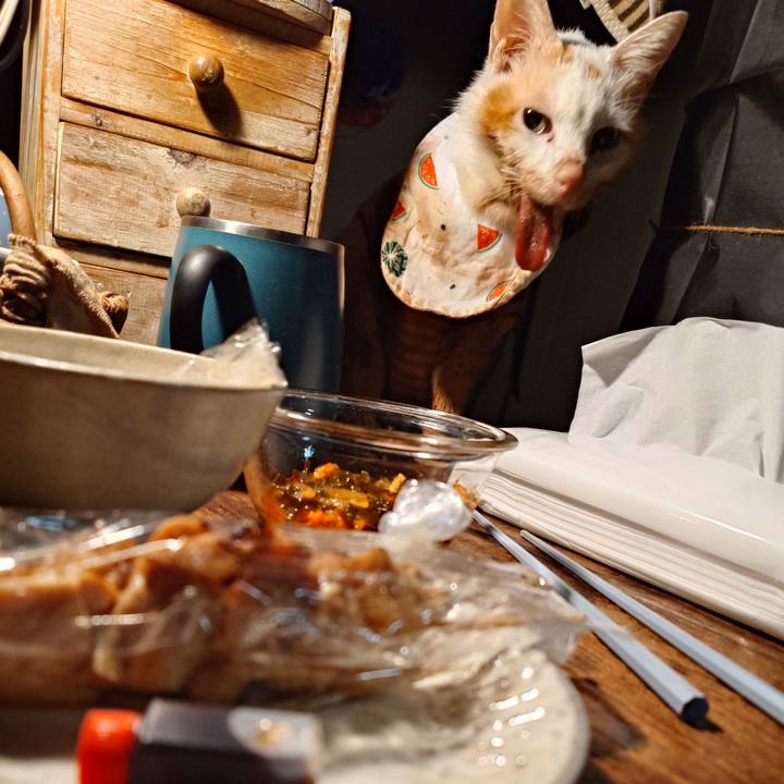 98123773 72e5 4003 83fe 67c6ad54e9b9 1768820675386