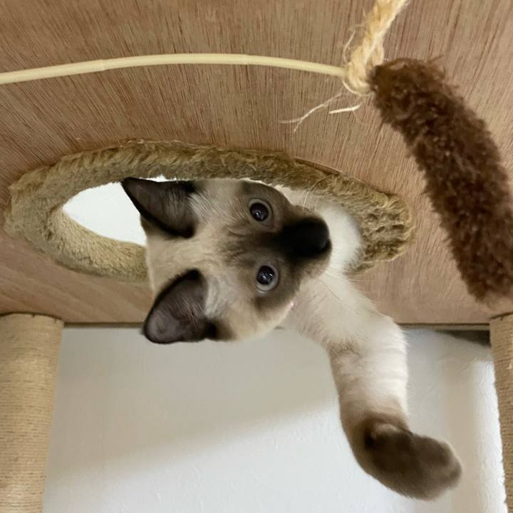 98125e0d d447 4d59 affc 18461108b171 1695237784270