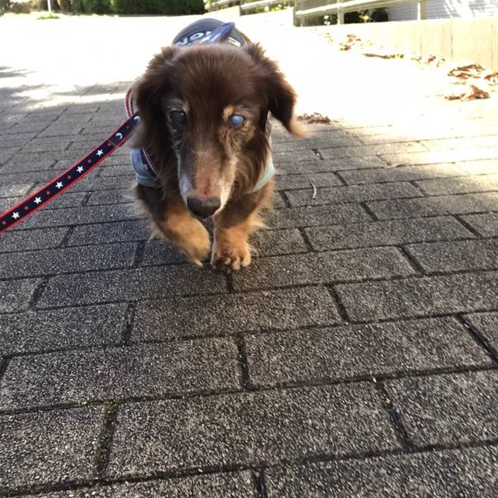 98127b60 26f1 44a6 8c88 860bcd07210d 1577508611324