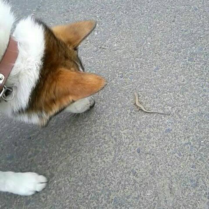 9812866e 4524 4909 a91f 7ea6484bfbba 1558243387135