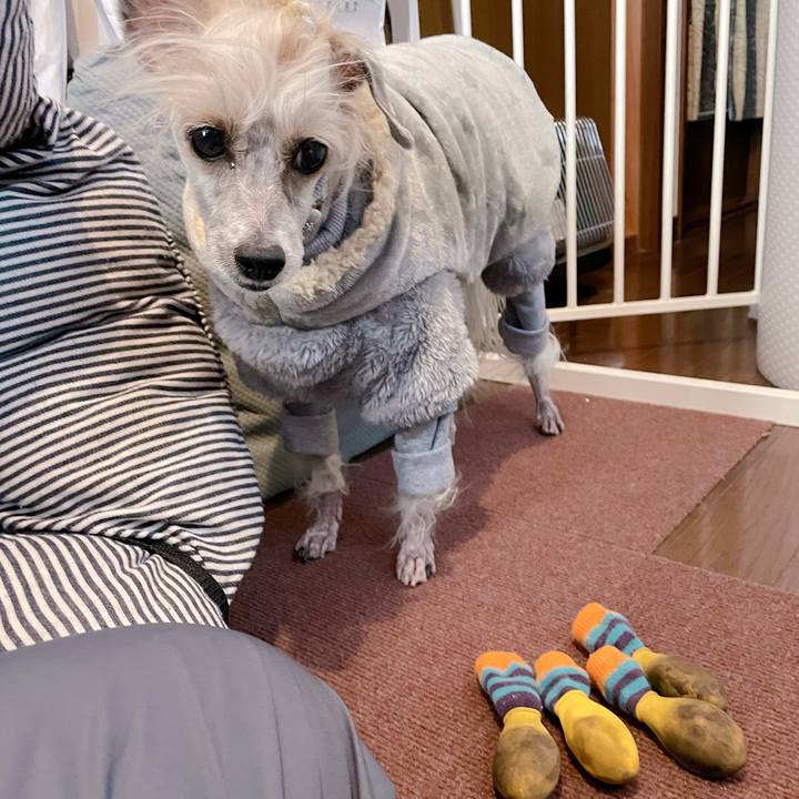 9812ac24 6381 48e5 b419 426ec568fd03 1770624781805