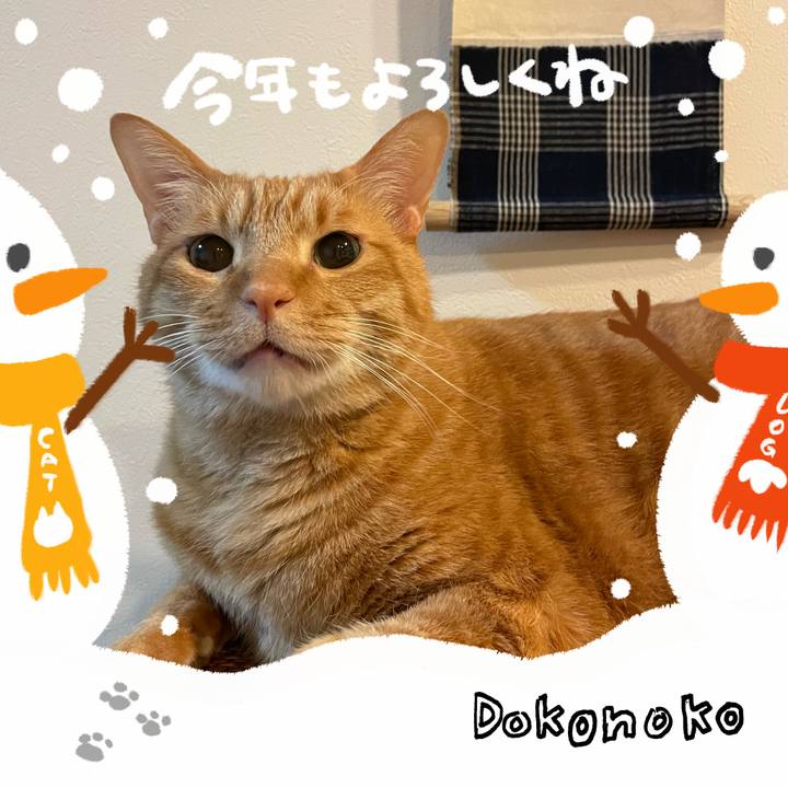 9812cb9a 38f0 460d 9619 bed7e504be1b 1704198388164