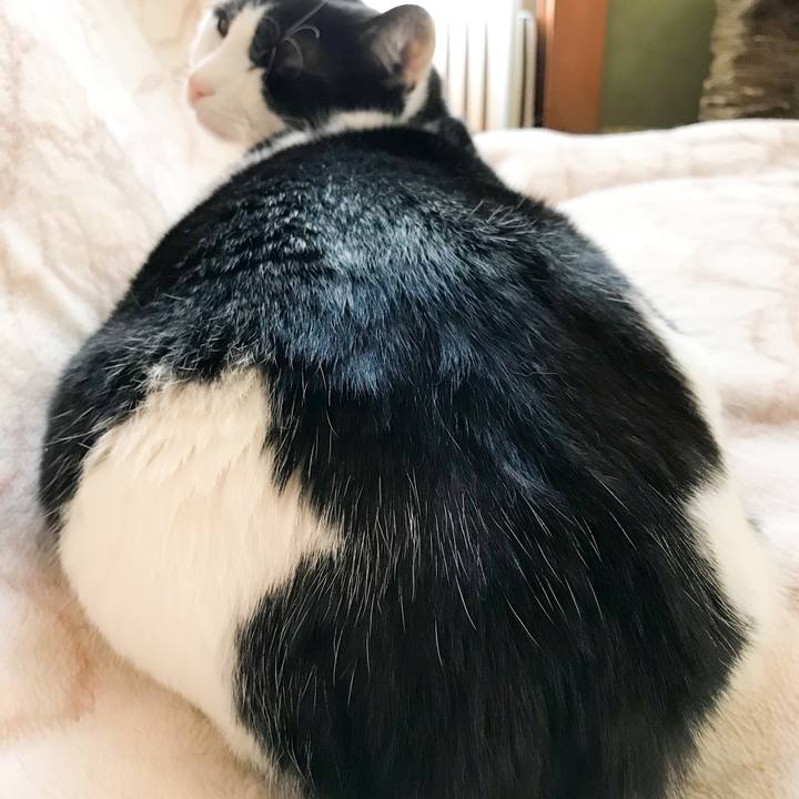 9812ff69 30c3 4dd0 8c30 a972569946b4 1523245178493