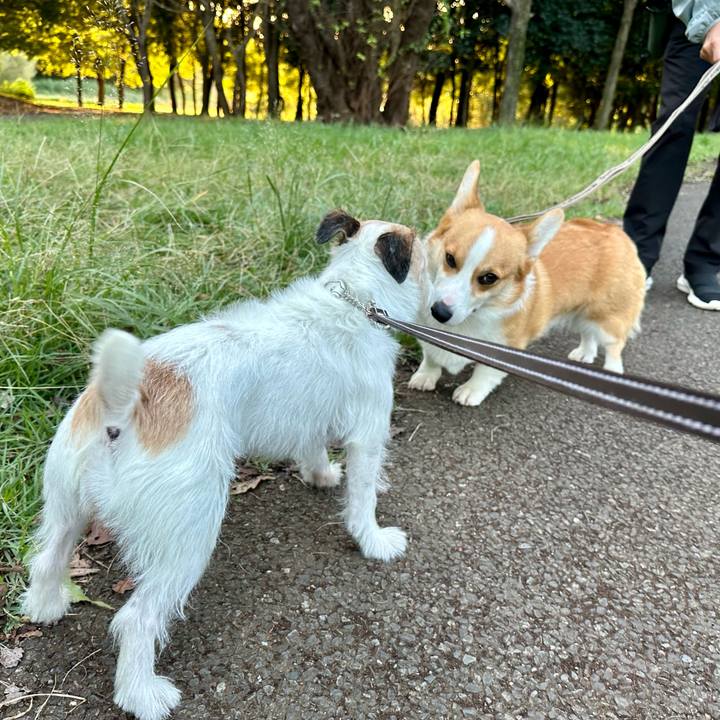 9812fffa d3eb 4d75 b027 e7e70c76f998 1729434258920