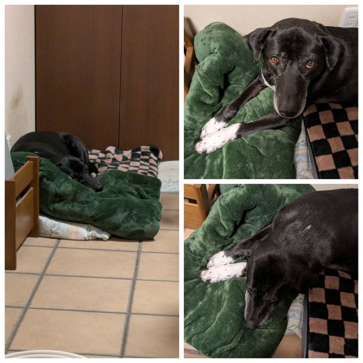 98133258 d4ef 4c77 82bf 02822abeed0d 1738498912268