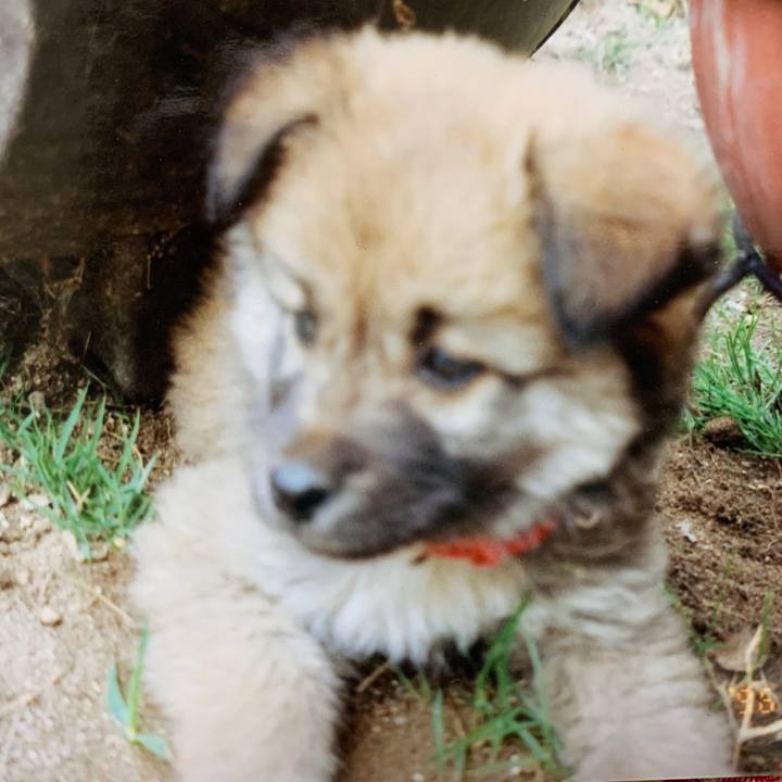 98133887 a8c4 4459 8dcd fa855b1d79c8 1630295422489