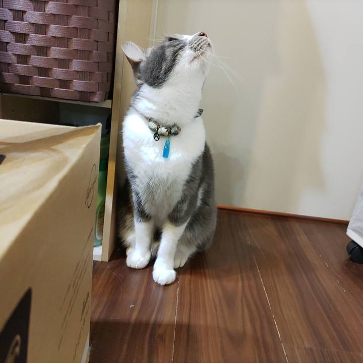 98136526 4685 46e3 aa71 e2e732dd3ac9 1706480717567