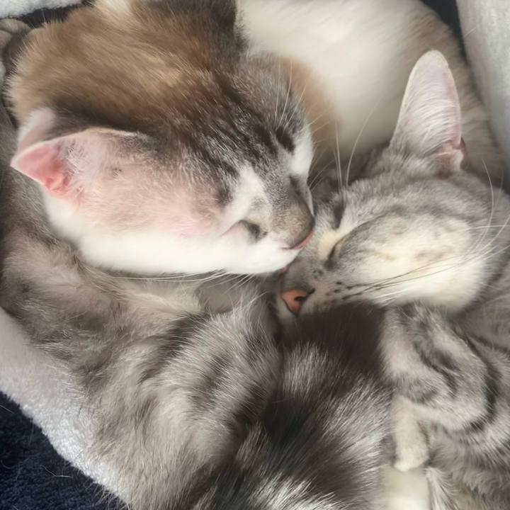 98137204 e14f 4b15 a50d ef63c19d6c54 1647573957278