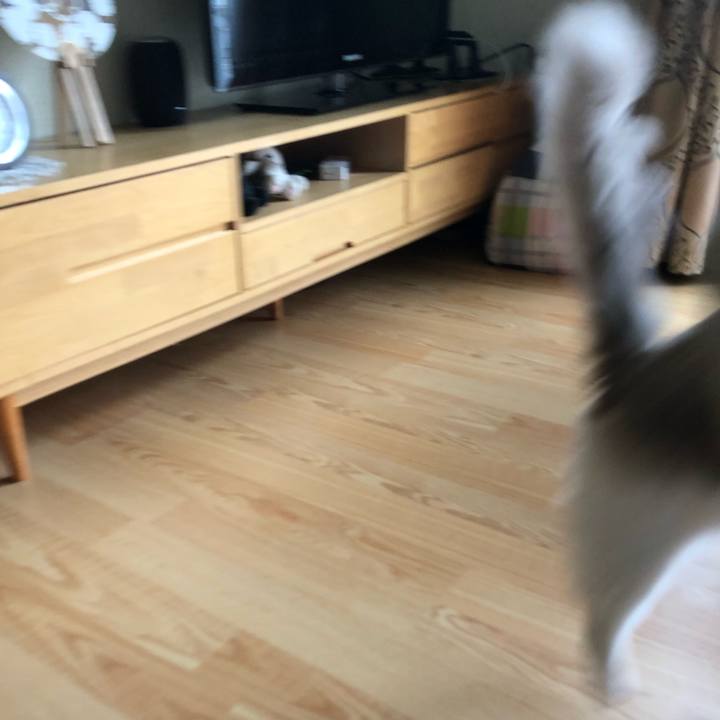 98138961 a90f 4874 be9e 3e84fe6165ea 1580090734995