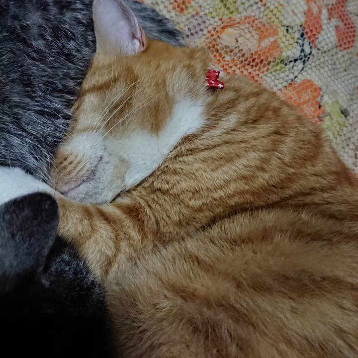 9813af09 93af 404a 8712 1cf18ee82b05 1577797866308