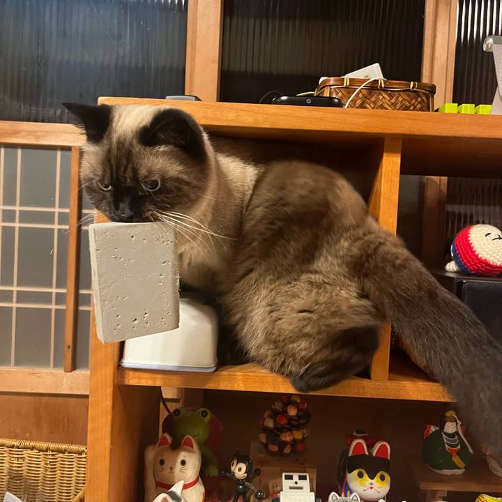 9813c410 a91a 4cbd 8a6d 3c7ad5cb6224 1662551507200