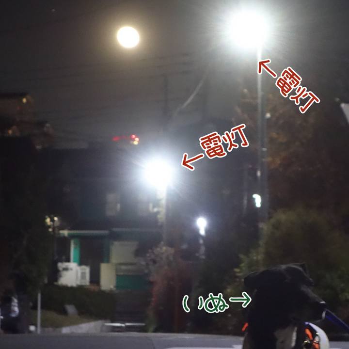 9813d52a 6984 4a91 8873 e665830ab1cd 1734432688582