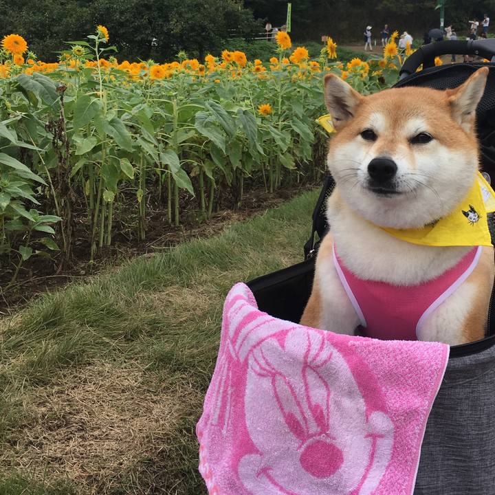 9813e49b db54 4675 bdd9 d573e4a15f02 1567333129630