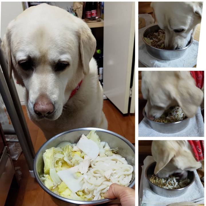 9813ef9b b23a 4064 b96a d6f79f2536ef 1714392803360