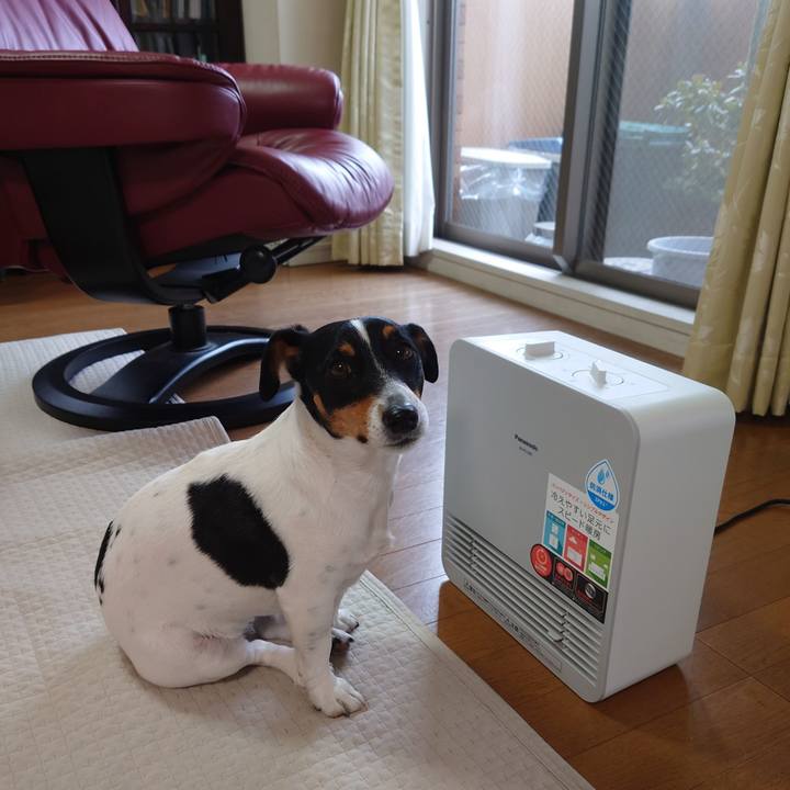 981425d4 8afe 4970 9bf3 2e3b52e9d12a 1645315423578