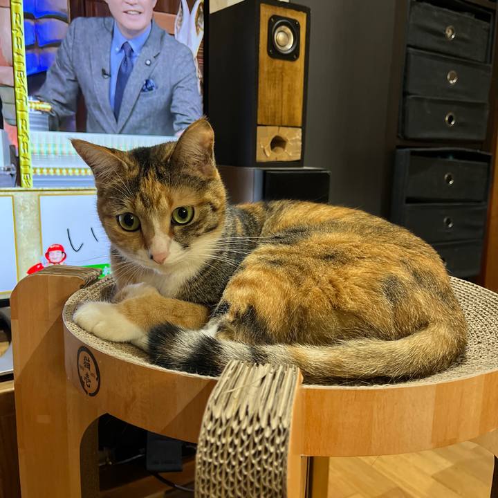 981428f2 5e2f 49ba 9483 d7ca426a8efc 1637412514584