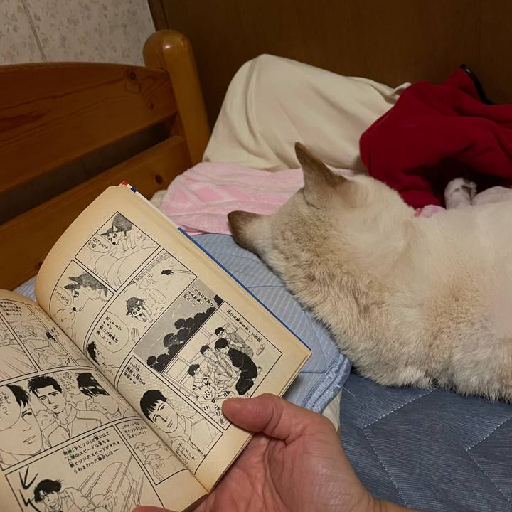 98144bba 03ba 428b b4cc 1b2f087d4f59 1663254686295