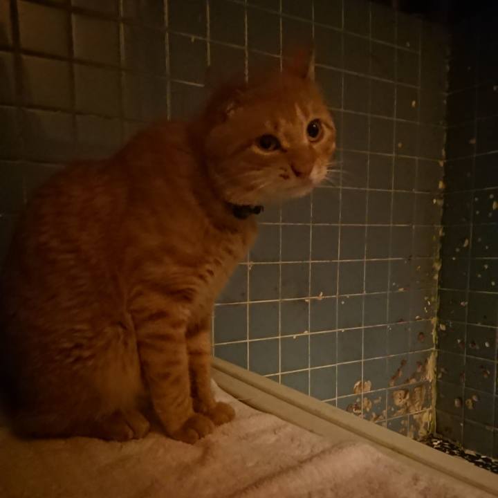 9814788d 009c 463b b2d5 510438b5ed12 1652957406541