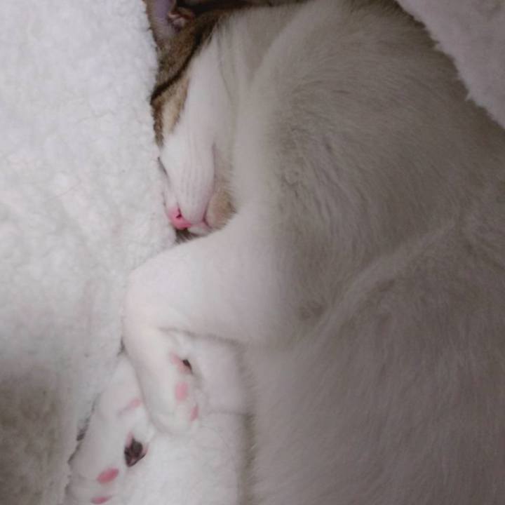 98147f9a f477 45aa 82ee 1a91e939a77a 1701516817041