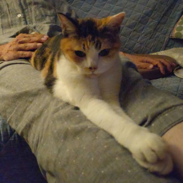 9814a11d 9a9b 4169 a9c8 b1fec6a256a1 1695127080658