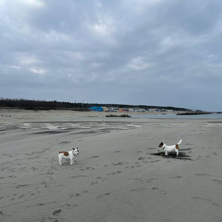 9814b402 000a 45f6 a316 eaa3c1338477 1711842527279