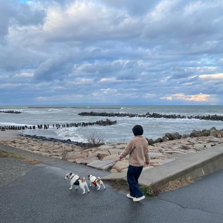 9814ccaf 5acf 4059 8e88 93ee6551e804 1732403160306