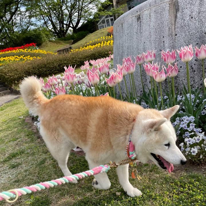 9814dcfd bda1 4bc0 a36c 9b9250dadaac 1683116199344