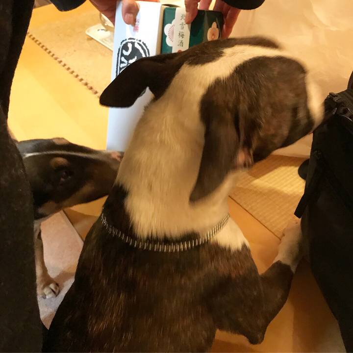 9814e6d7 963d 4da6 8b20 71bd230cf47f 1520932294876