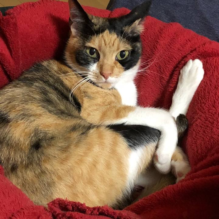 9814ee03 e746 4337 94bc 345d428f46bd 1526648611823