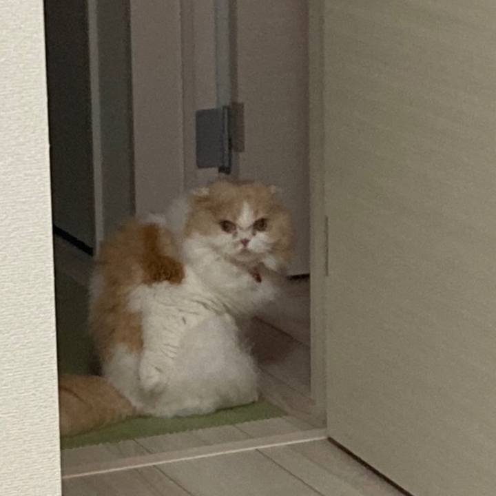 9815036c eaf1 4a14 b4f4 d5f05d65d4a9 1627300017137